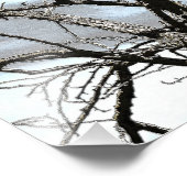 冬の木 フォトプリント            (角)