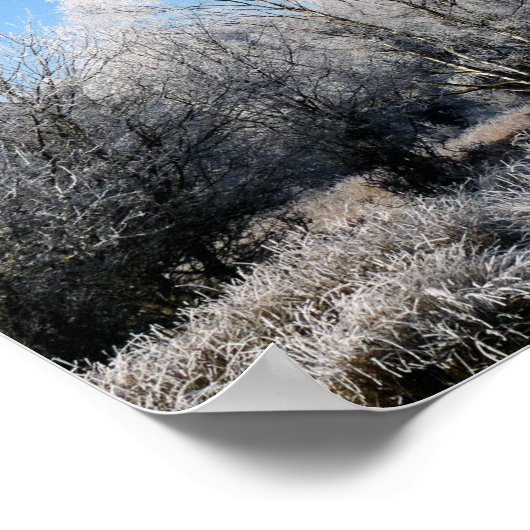 冬の木 ポスター (角)