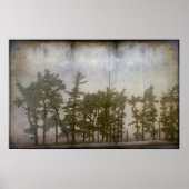 冬の木 ポスター (正面)