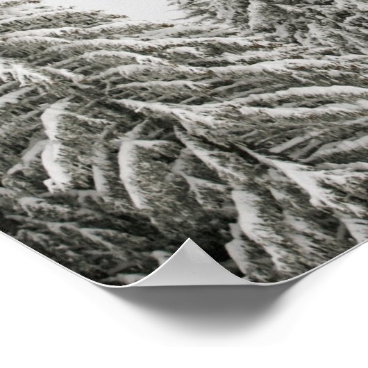 冬の木 ポスター (角)