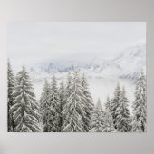 冬の木 ポスター (正面)