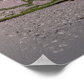 冬の木 ポスター (角)