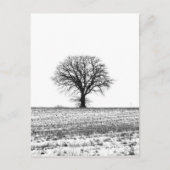 冬の木 ポストカード (正面)