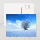 冬の木 ポストカード (正面/裏面)