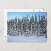 冬の木 ポストカード (正面/裏面)