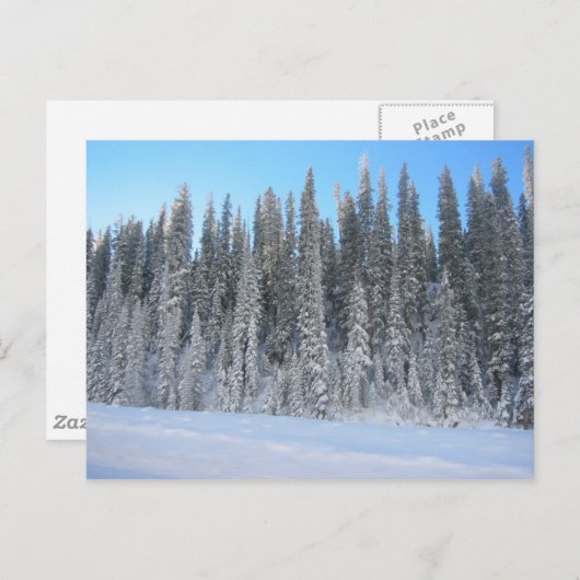 冬の木 ポストカード (正面/裏面)