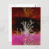 冬の木 ポストカード (正面/裏面)