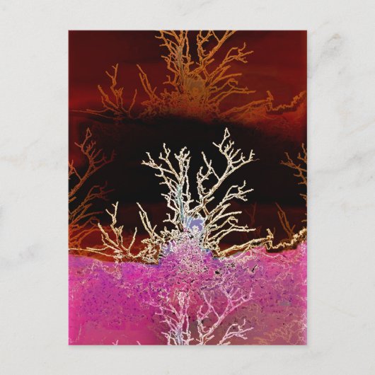 冬の木 ポストカード (正面)