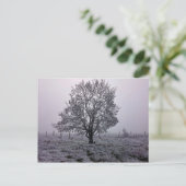 冬の木 ポストカード (スタンド正面)