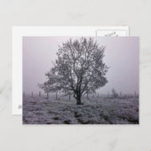 冬の木 ポストカード (正面/裏面)