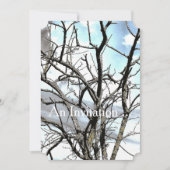 冬の木 招待状 (正面)