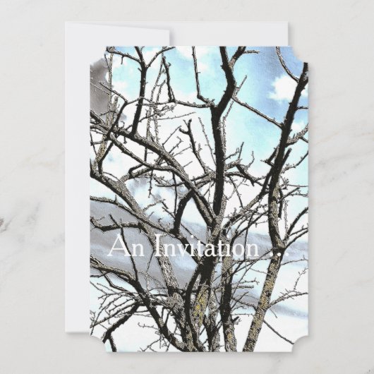 冬の木 招待状 (正面)