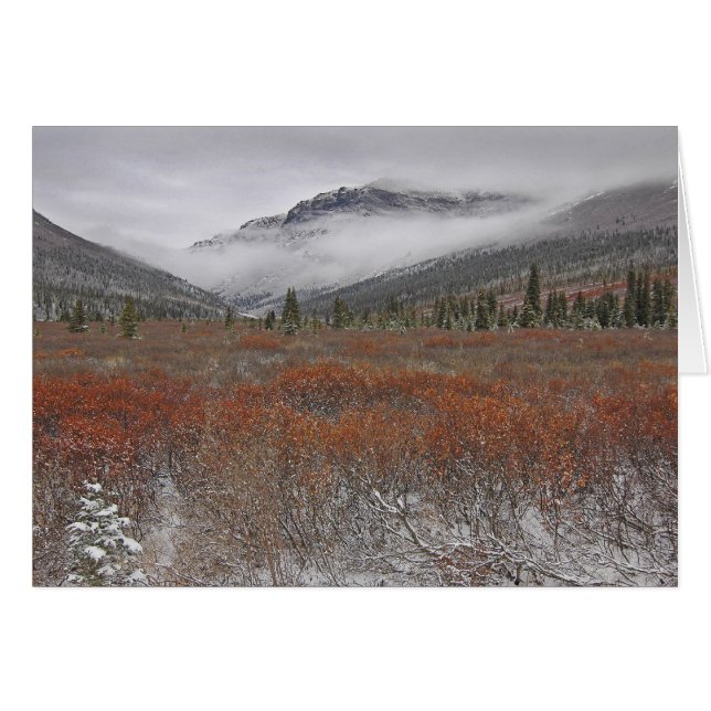 冬の来ること (正面横)