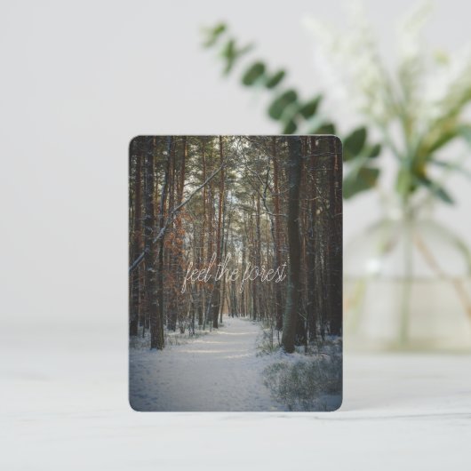 冬の松林の雪の小道 シーズンカード (スタンド正面)