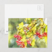 冬の果実の水色 ポストカード (正面/裏面)