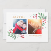 冬の果実の緑メリークリスマスクリスマス2写真 (正面)