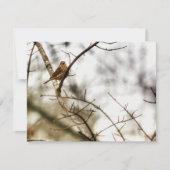 冬の枝に止まるフィンチの自然写真 ノートカード (正面)