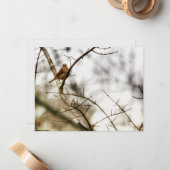 冬の枝に止まるフィンチの自然写真 ノートカード (正面/裏面インサイチュ)