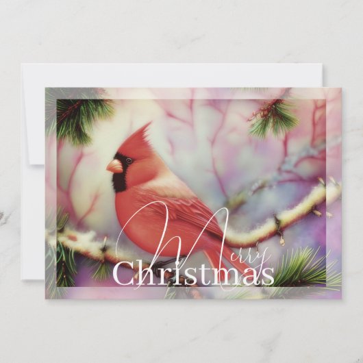 冬の枝のカーディナル 予算クリスマス シーズンカード (正面)