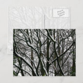 冬の枝 ポストカード (正面/裏面)