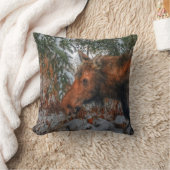 冬の森で野生のカナダのムースの放牧 クッション (ブランケット)