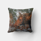 冬の森で野生のカナダのムースの放牧 クッション (裏面)