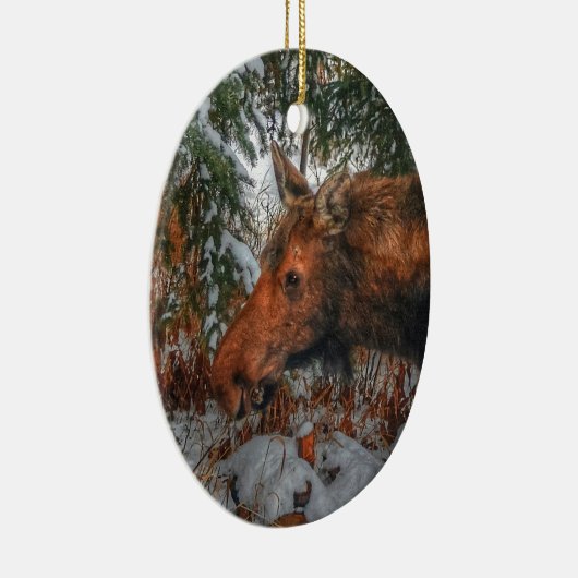 冬の森で野生のカナダのムースの放牧 セラミックオーナメント (右)