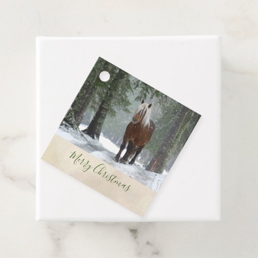 冬の森のクリスマスに風光明媚な茶色の馬 フェイバータグ (インサイチュ)