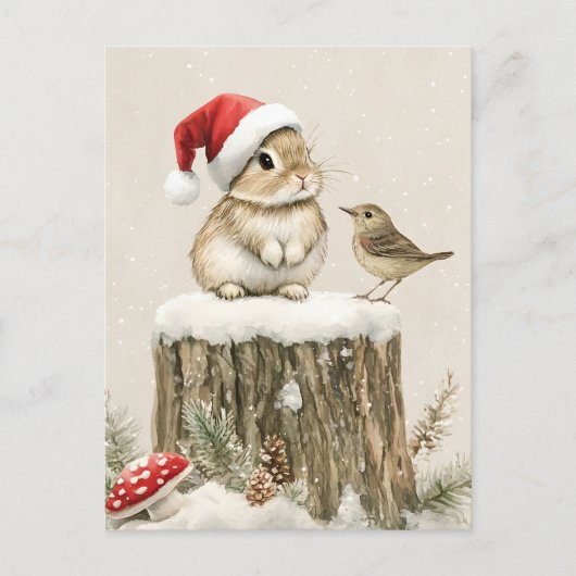 冬の森のクリスマスウサギと鳥 シーズンポストカード (正面)