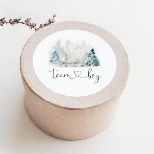 冬の森のジェンダー明らかにチームボーイステッカー ラウンドシール