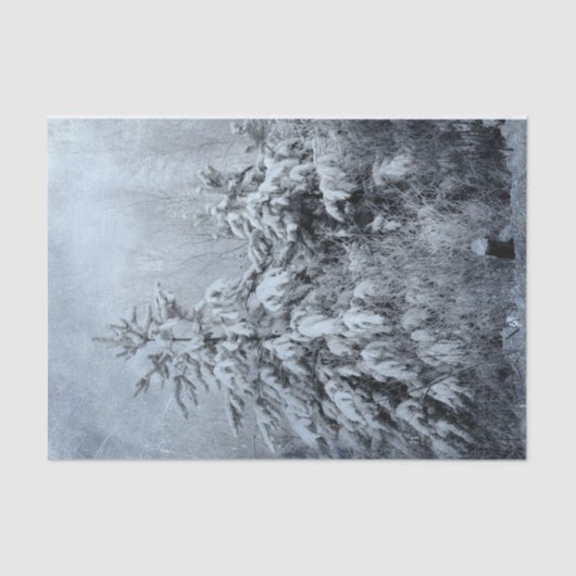 冬の森のヴィンテージの森林の雪に覆われた木々 薄葉紙 (正面)