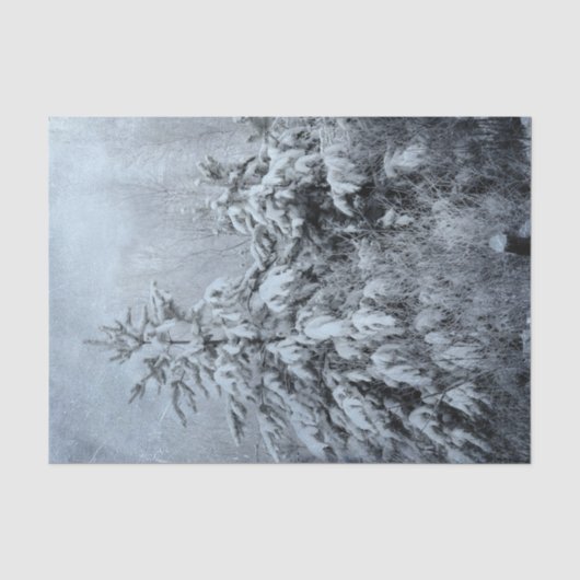 冬の森のヴィンテージの森林の雪に覆われた木々 薄葉紙 (正面)