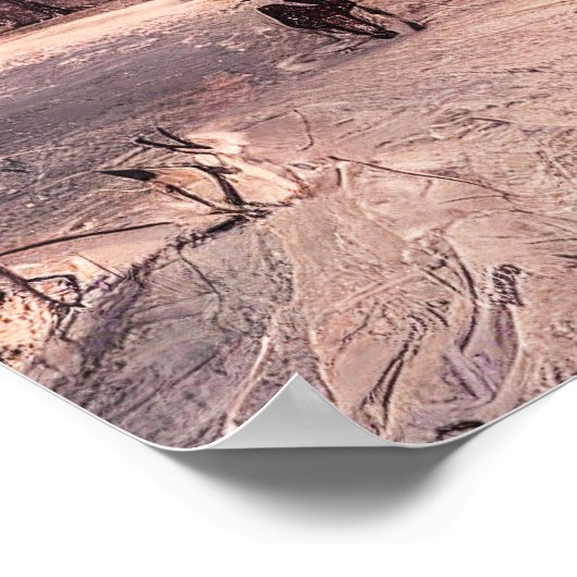 冬の森の家、平和の地 ポスター (角)