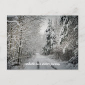 冬の森の旅 シーズンポストカード (正面)