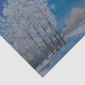 冬の森の木々スノーブルースカイ自然 薄葉紙 (詳細)