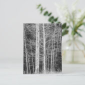 冬の森の木 ポストカード (スタンド正面)