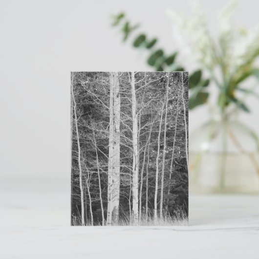 冬の森の木 ポストカード (スタンド正面)