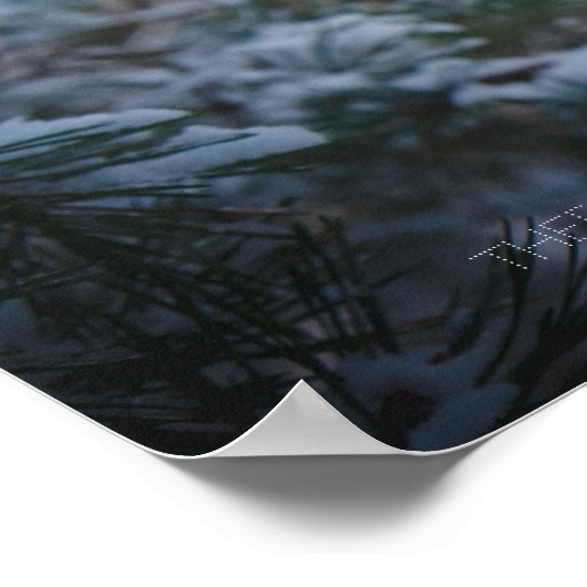 冬の森の松の木 ポスター (角)