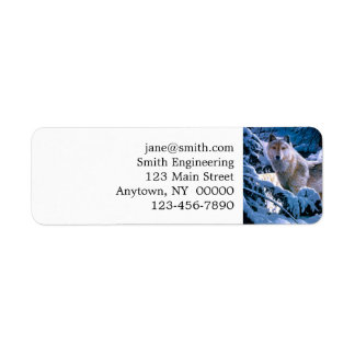 冬の森の絵画狼 ラベル