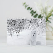 冬の森の雪キツネ サンキューカード (スタンド正面)