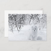 冬の森の雪キツネ サンキューカード (正面/裏面)
