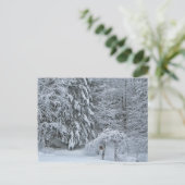 冬の森の雪景色の写真 ポストカード (スタンド正面)