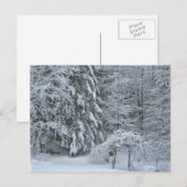 冬の森の雪景色の写真 ポストカード (正面/裏面)