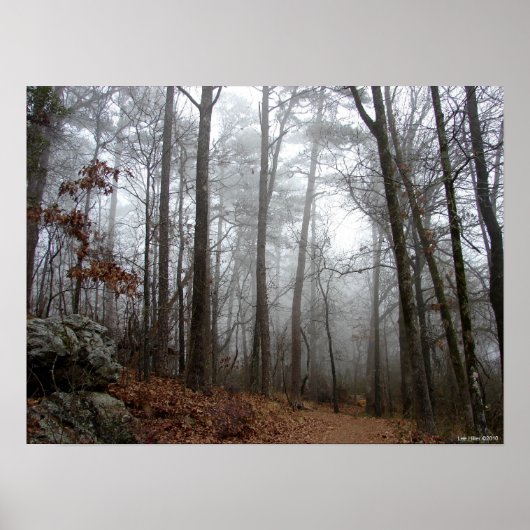 冬の森の霧のポスターに ポスター (正面)