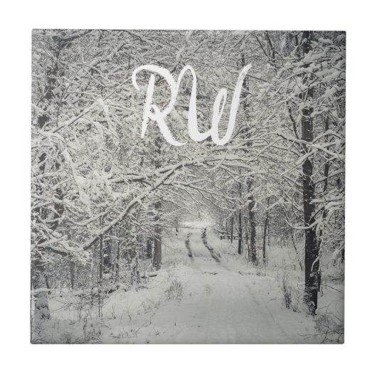 冬の森林歩道を探索する タイル (正面)