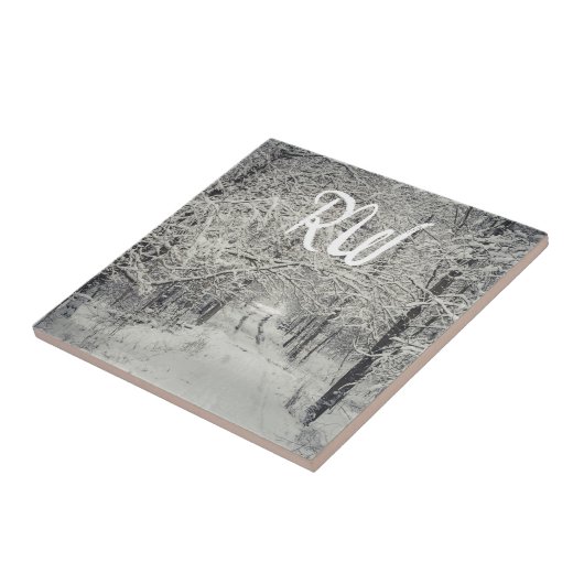 冬の森林歩道を探索する タイル (側面)