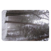 冬の森林道 マグネット (横)