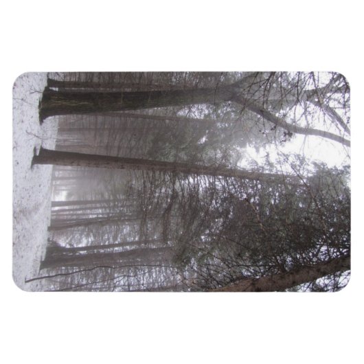 冬の森林道 マグネット (横)