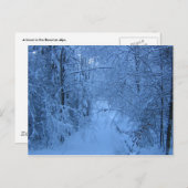 冬の森林 ポストカード (正面/裏面)