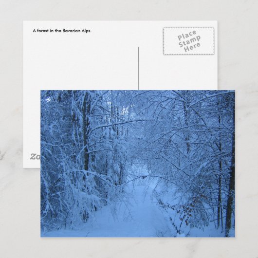 冬の森林 ポストカード (正面/裏面)